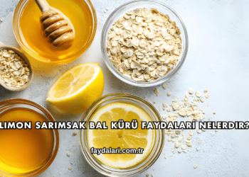 Limon Sarımsak Bal Kürü Faydaları Nelerdir?