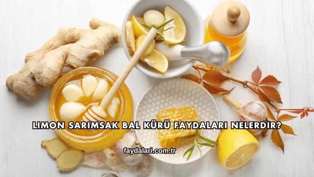 Limon Sarımsak Bal Kürü Faydaları Nelerdir?