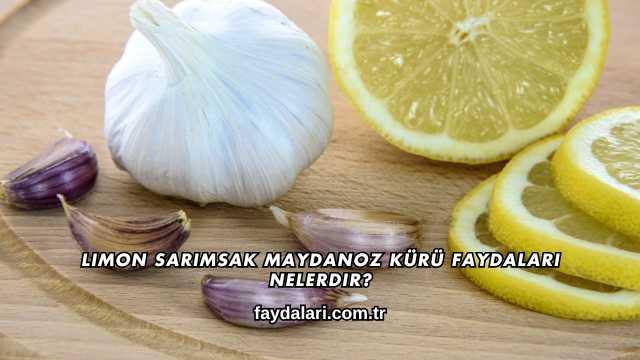 Limon Sarımsak Maydanoz Kürü Faydaları Nelerdir?