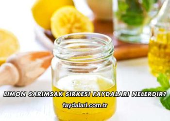 Limon Sarımsak Sirkesi Faydaları Nelerdir?