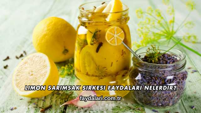 Limon Sarımsak Sirkesi Faydaları Nelerdir?