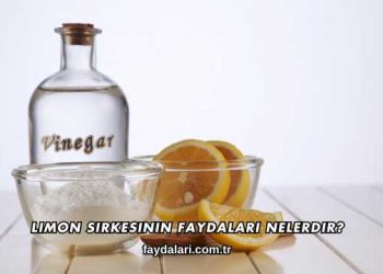 Limon Sirkesinin Faydaları Nelerdir