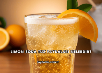 Limon Soda Tuz Faydaları Nelerdir?