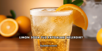 Limon Soda Tuz Faydaları Nelerdir?