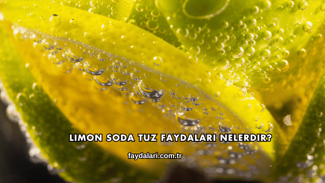 Limon Soda Tuz Faydaları Nelerdir?