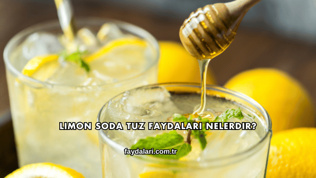 Limon Soda Tuz Faydaları Nelerdir?