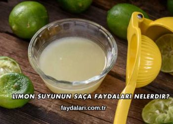 Limon Suyunun Saça Faydaları Nelerdir?