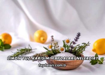 Limon Tuz Karışımı Faydaları Nelerdir?