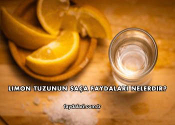 Limon Tuzunun Saça Faydaları Nelerdir?