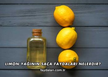 Limon Yağının Saça Faydaları Nelerdir?