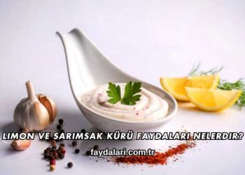 Limon ve Sarımsak Kürü Faydaları Nelerdir?