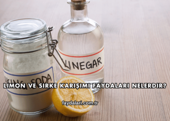 Limon ve Sirke Karışımı Faydaları Nelerdir?