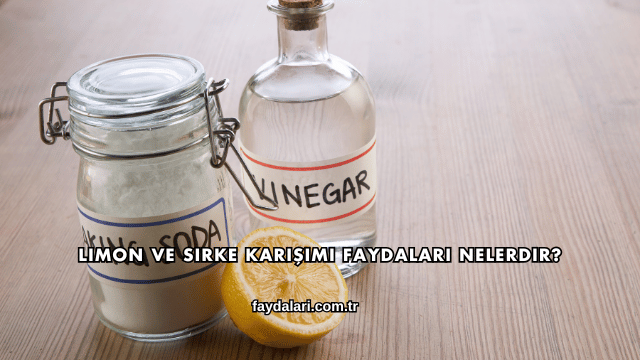 Limon ve Sirke Karışımı Faydaları Nelerdir?