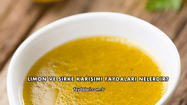 Limon ve Sirke Karışımı Faydaları Nelerdir?