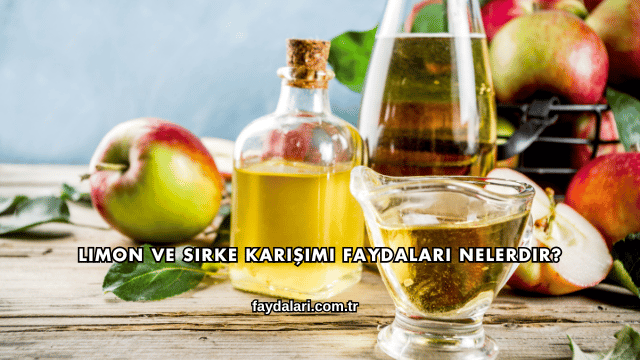 Limon ve Sirke Karışımı Faydaları Nelerdir?