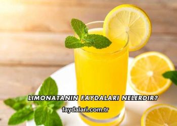 Limonatanın Faydaları Nelerdir?