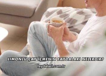 Limonlu Çay İçmenin Faydaları Nelerdir?