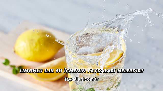 Limonlu Ilık Su İçmenin Faydaları Nelerdir?