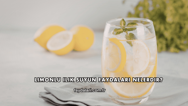 Limonlu Ilık Suyun Faydaları Nelerdir?
