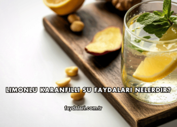 Limonlu Karanfilli Su Faydaları Nelerdir?