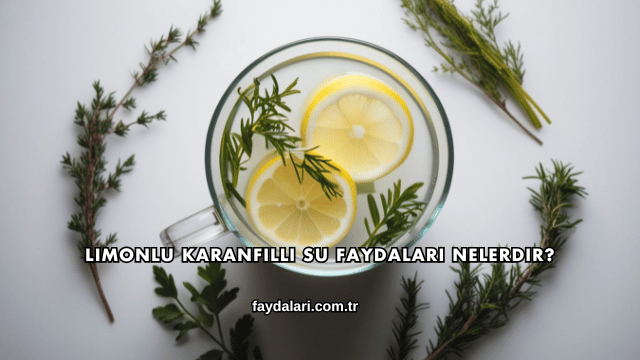 Limonlu Karanfilli Su Faydaları Nelerdir?