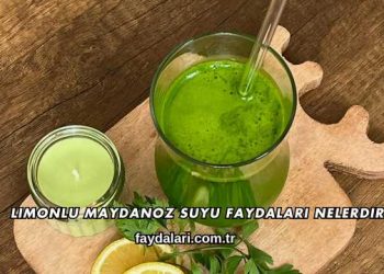 Limonlu Maydanoz Suyu Faydaları Nelerdir?