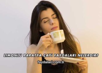 Limonlu Papatya Çayı Faydaları Nelerdir?