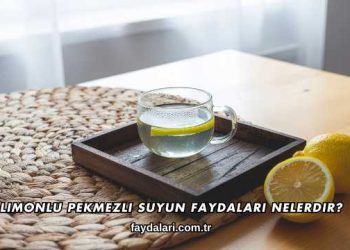 Limonlu Pekmezli Suyun Faydaları Nelerdir?