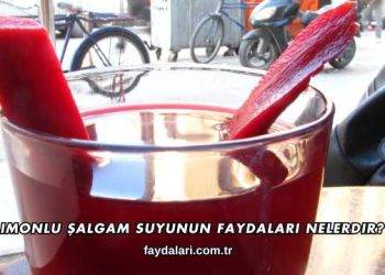 Limonlu Şalgam Suyunun Faydaları Nelerdir?