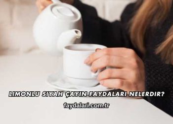 Limonlu Siyah Çayın Faydaları Nelerdir?