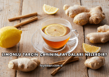 Limonlu Tarçın Çayının Faydaları Nelerdir?