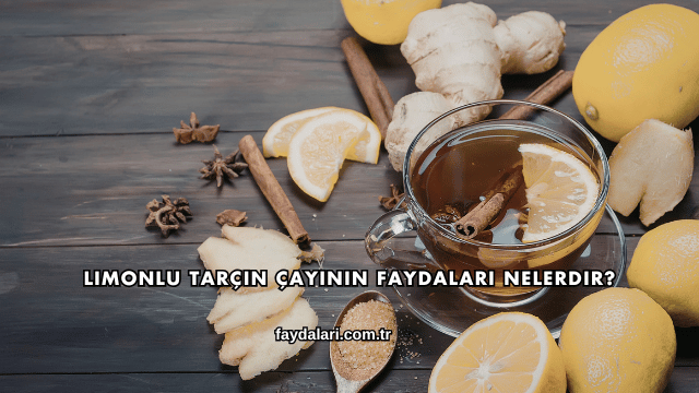 Limonlu Tarçın Çayının Faydaları Nelerdir?
