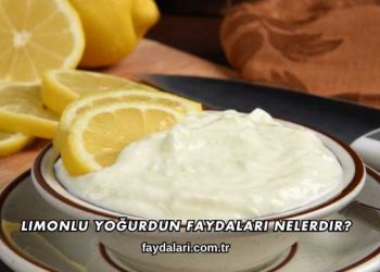 Limonlu Yoğurdun Faydaları Nelerdir?