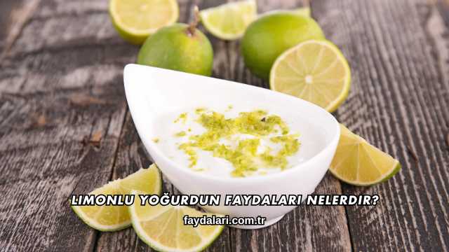 Limonlu Yoğurdun Faydaları Nelerdir?