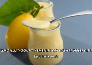 Limonlu Yoğurt Yemenin Faydaları Nelerdir?