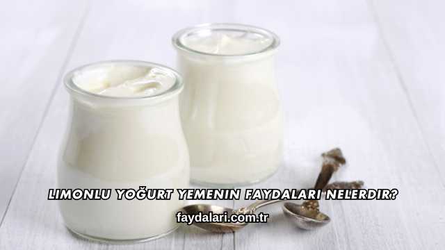 Limonlu Yoğurt Yemenin Faydaları Nelerdir?