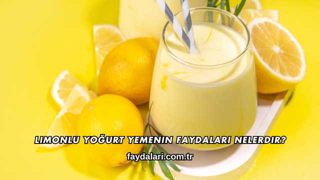 Limonlu Yoğurt Yemenin Faydaları Nelerdir?