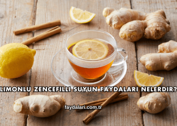 Limonlu Zencefilli Suyun Faydaları Nelerdir?