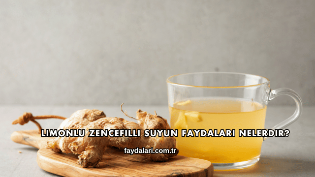 Limonlu Zencefilli Suyun Faydaları Nelerdir?