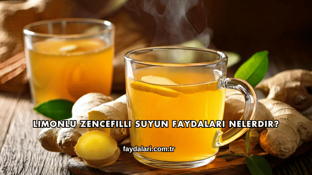Limonlu Zencefilli Suyun Faydaları Nelerdir?