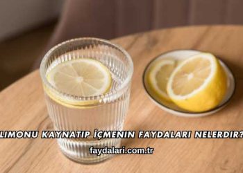 Limonu Kaynatıp İçmenin Faydaları Nelerdir?