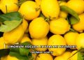 Limonun Vücuda Faydaları Nelerdir?