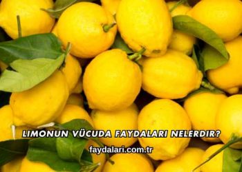 Limonun Vücuda Faydaları Nelerdir?