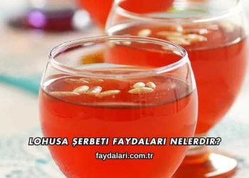 Lohusa Şerbeti Faydaları Nelerdir?