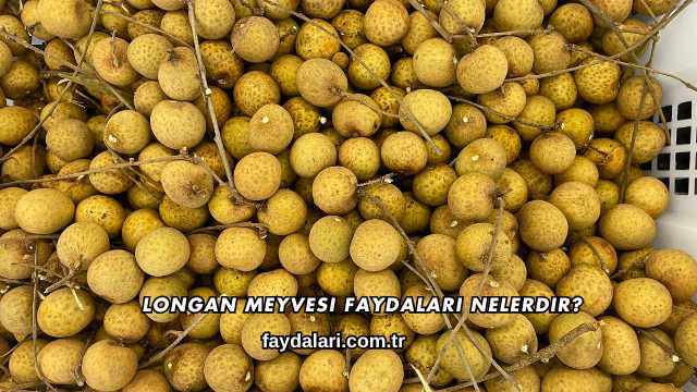 Longan Meyvesi Faydaları Nelerdir?