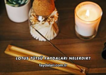 Lotus Tütsü Faydaları Nelerdir?