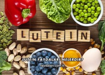 Lutein Faydaları Nelerdir?