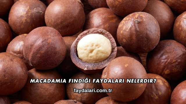 Macadamia Fındığı Faydaları Nelerdir?