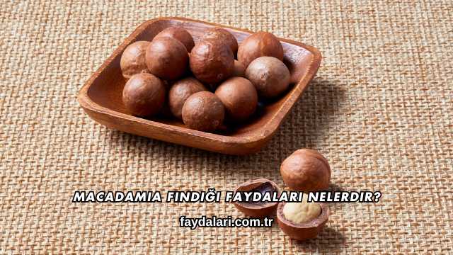 Macadamia Fındığı Faydaları Nelerdir?