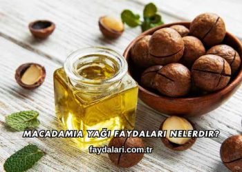 Macadamia Yağı Faydaları Nelerdir?